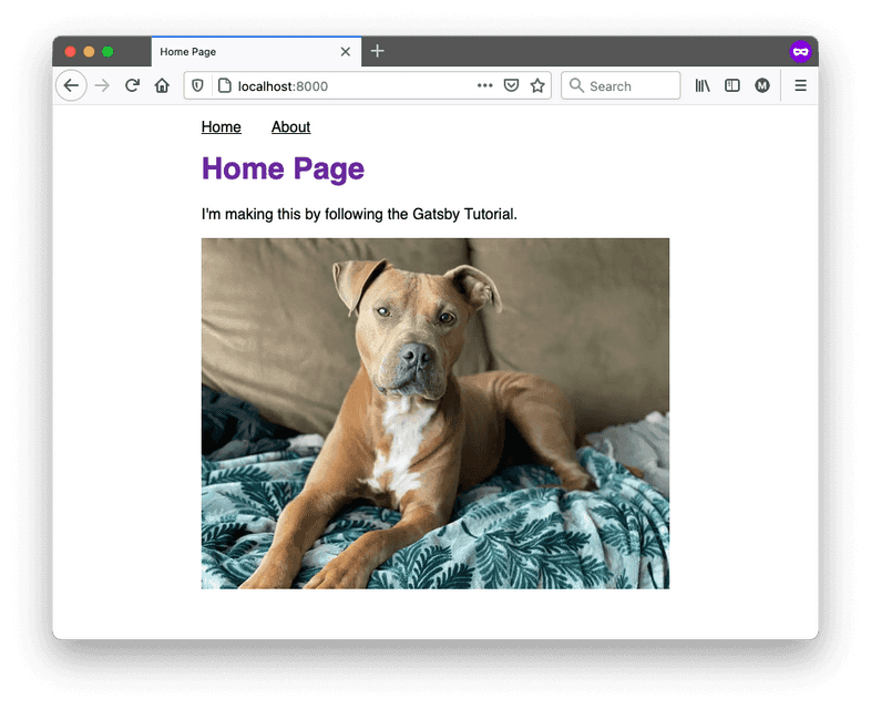 The home page of your site, which now includes a picture of a dog. The home page of your site, which now includes a picture of a dog.