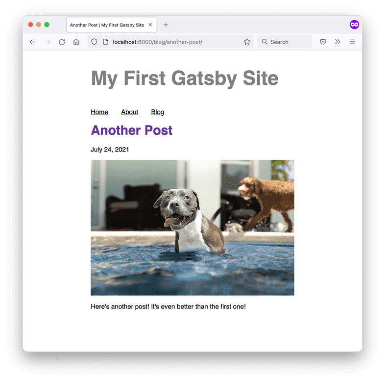 A screenshot of the Another Post blog page, with a hero image of a gray and white pitbull in a swimming pool. A screenshot of the Another Post blog page, with a hero image of a gray and white pitbull in a swimming pool.