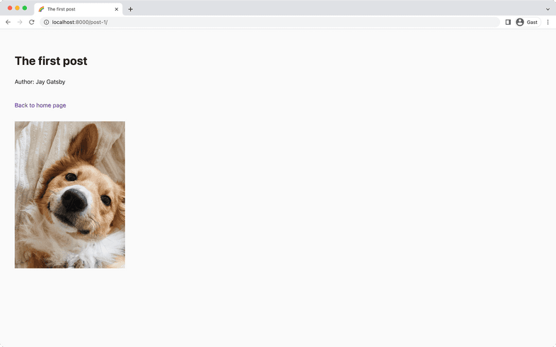 A screenshot of "http://localhost:8000/post-1/" in a web browser. The individual post page for "The first post" is shown, together with a corgi dog looking at the camera. The dog is smiling. A screenshot of "http://localhost:8000/post-1/" in a web browser. The individual post page for "The first post" is shown, together with a corgi dog looking at the camera. The dog is smiling.