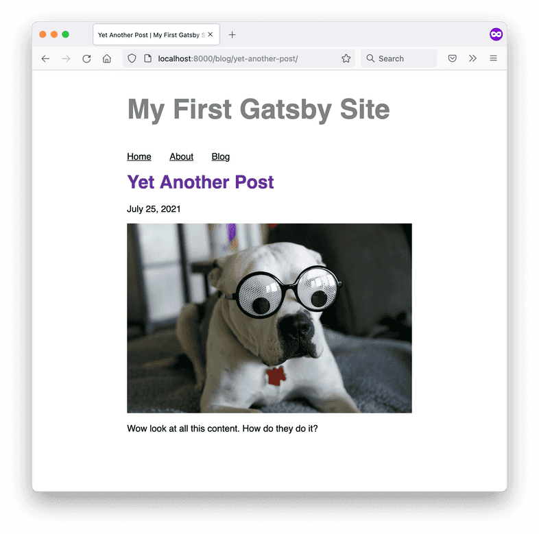 A screenshot of the Yet Another Post blog page, with a hero image of a dog wearing googly-eye glasses. A screenshot of the Yet Another Post blog page, with a hero image of a dog wearing googly-eye glasses.