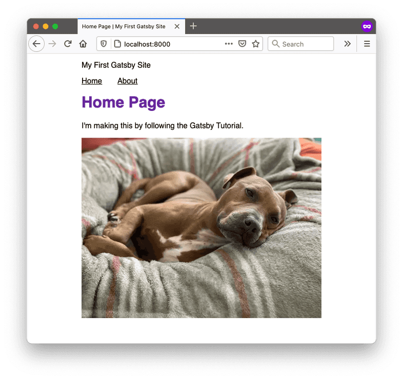 A screenshot of the home page in a web browser. The title of the page in the browser tab now says, "Home Page | My First Gatsby Site", and the top of the page has an unstyled paragraph that says, "My First Gatsby Site". A screenshot of the home page in a web browser. The title of the page in the browser tab now says, "Home Page | My First Gatsby Site", and the top of the page has an unstyled paragraph that says, "My First Gatsby Site".