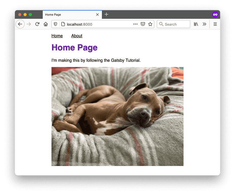 The home page of your site, which includes a different picture of a dog. The home page of your site, which includes a different picture of a dog.