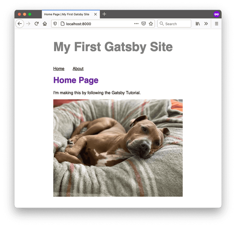 A screenshot of the home page in a web browser. Now the site title paragraph is styled to be larger and gray. A screenshot of the home page in a web browser. Now the site title paragraph is styled to be larger and gray.
